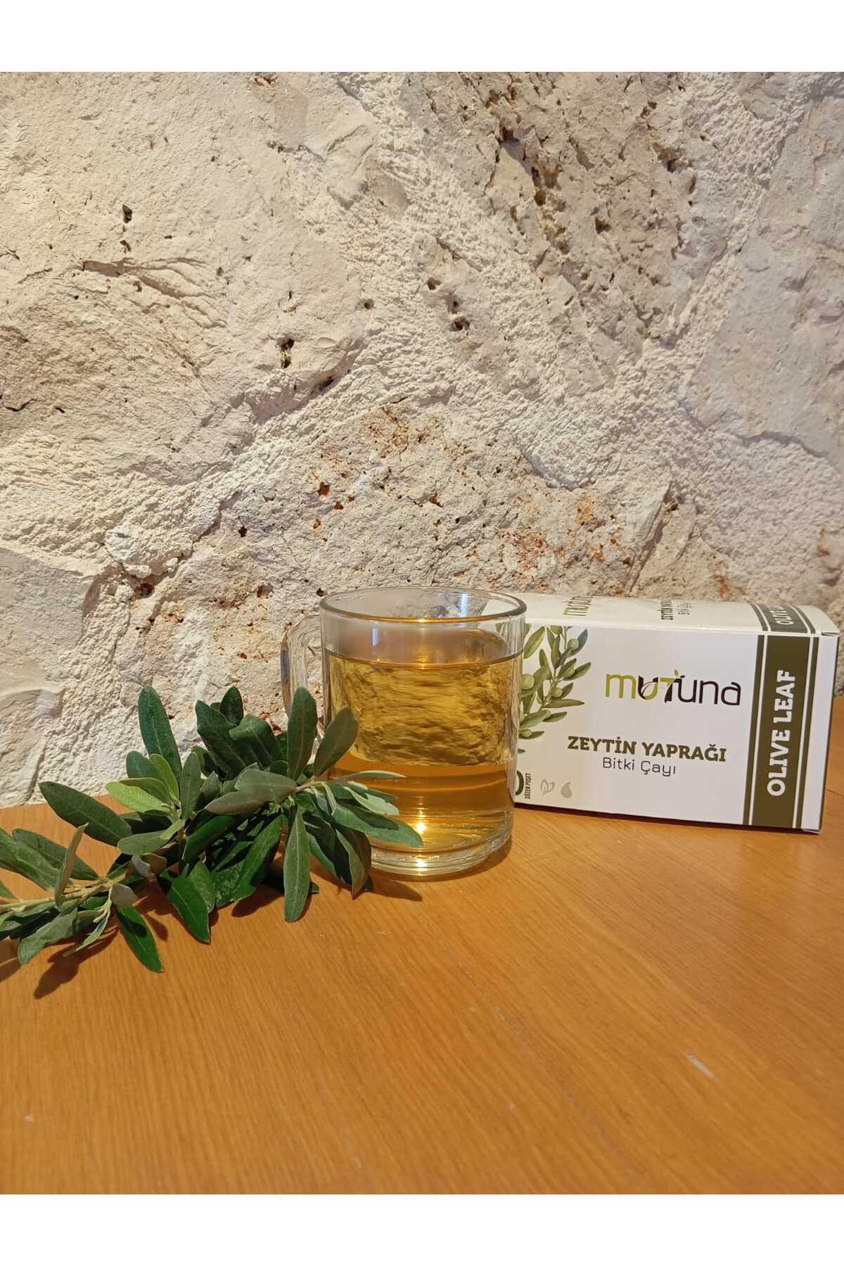 Zeytin Yaprağı Bitki Çayı